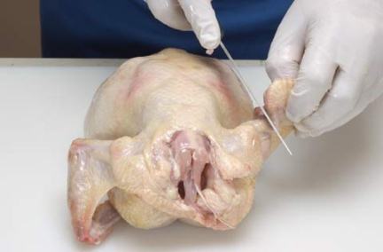 طريقة اخلاء العظم من الدجاج