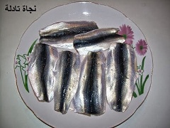 kotban-samak-sardin1