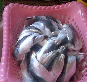 sardine-mcharmal1