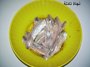 9dbane sardine 9otban 3
