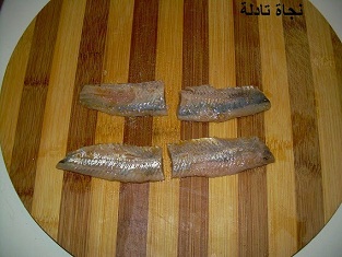 9dbane sardine 9otban 4