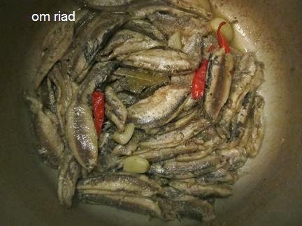 sardine fi lkokoute 5