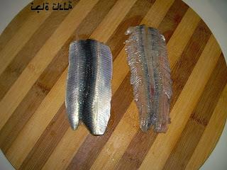 sardine 9otbane 2